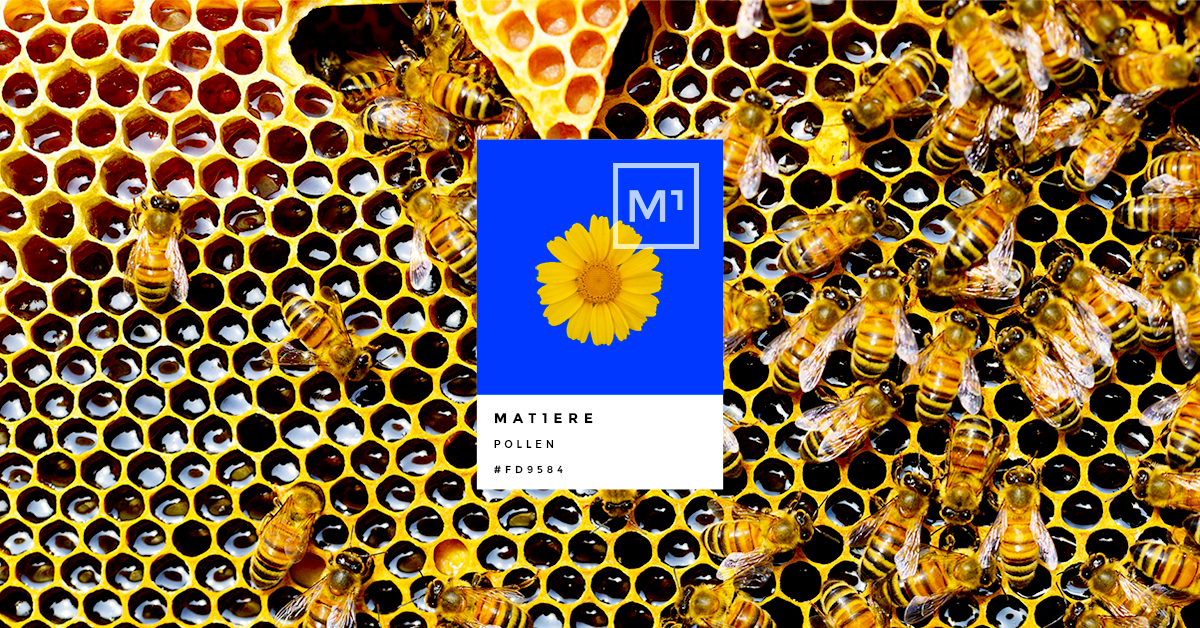 mat1ère-pollen